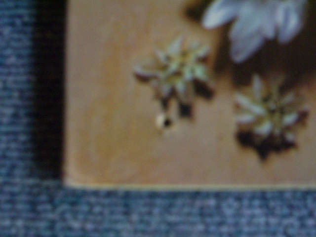 画像: MAGNA CARTA - SEASONS  / 1970 US ORIGINAL SEALED  LP 
