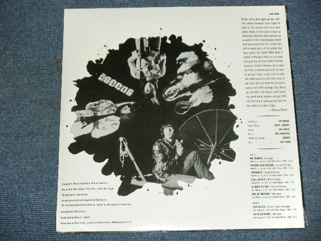 画像: THE SEEDS - A WEB OF SOUND / 1977? US REISSUE Sealed LP