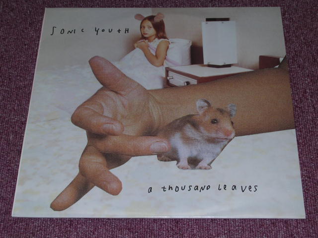 Sonic youth LP a thousand leaves