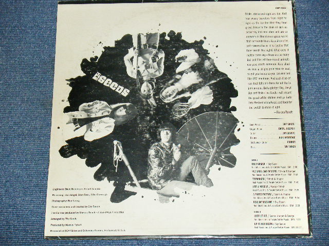 画像: THE SEEDS - A WEB OF SOUND / 1967 US ORIGINAL Stereo LP