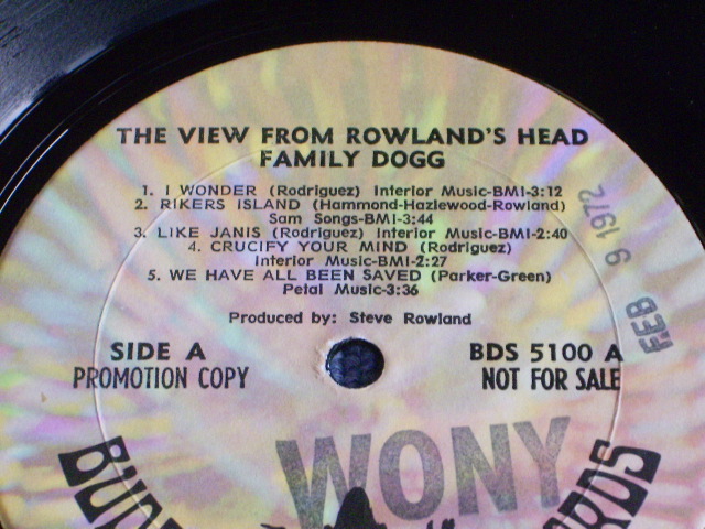 画像: FAMILY DOG - THE VIEN FROM ROWLANDS HEAD  / 1972 US ORIGINAL PROMO LP 