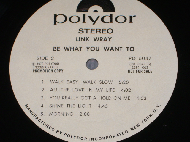 画像: LINK WRAY - BE WHAT YOU WANT TO  / 1973 US ORIGINAL WHITE LABEL PROMO LP 