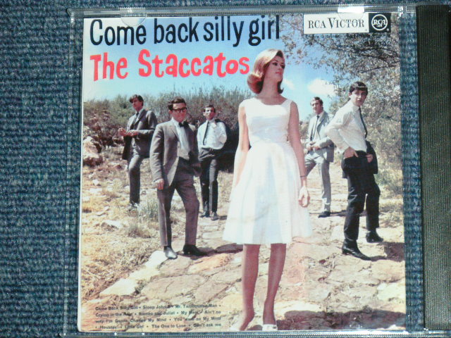画像: THE STACCATOS - COME BACK SILLY GIRL + THE STACCATOS /  GERMAN Brand New CD-R  Special Order Only Our Store