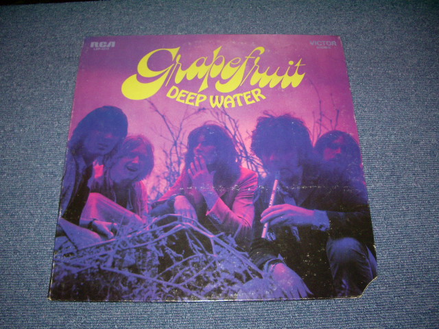 画像1: GRAPEFRUIT - DEEP WATER   ( TERRY MELCHER Works  ) / 1969 US ORIGINAL Stereo LP 