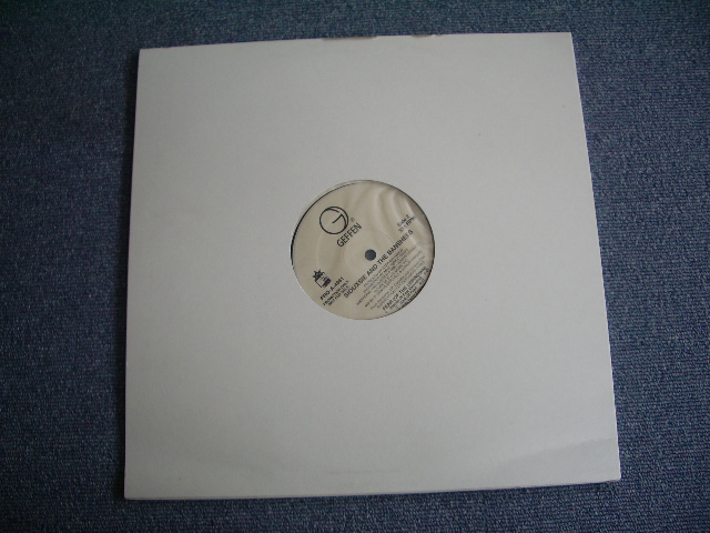 画像: SOUXSIE & THE BANSHEES - FEAR   / 1991 US PROMO ONLY 12" 