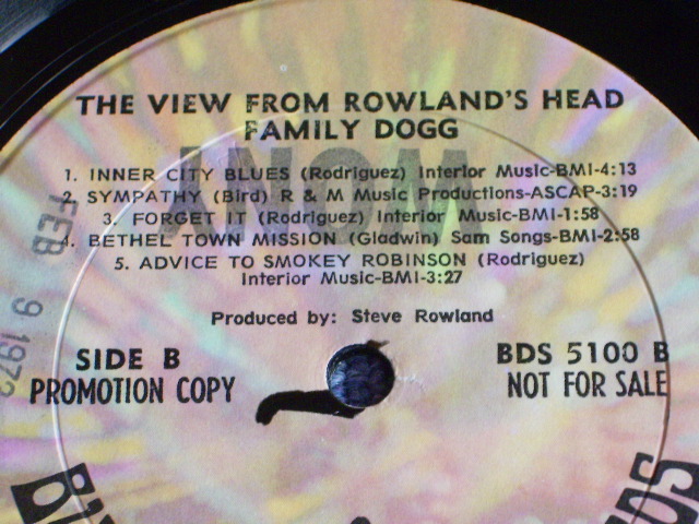 画像: FAMILY DOG - THE VIEN FROM ROWLANDS HEAD  / 1972 US ORIGINAL PROMO LP 