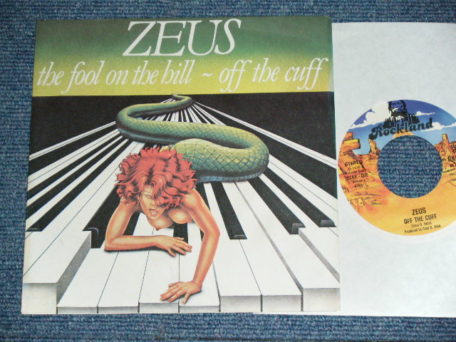 画像1: ZEUS - THE FOLL ON THE HILL / 1978 ITALY ORIGINAL Used  7"Single  With PICTURE SLEEVE  