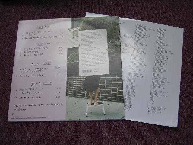 画像: SONIC YOUTH  - A THOUSAND LEAVES  /  1998 EU ORIGINAL NEW 2LP's