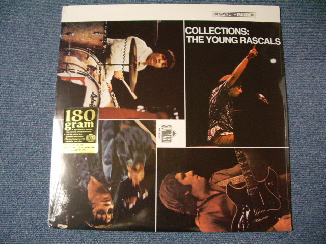 画像1: YOUNG RASCALS - COLLECTION (SEALED) / 2002 US AMERICA 180g REISSUE "BRAND NEW SEALED" LP 