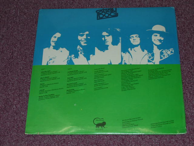 画像: STRAY DOG - WHILE YOU'RE DOWN THERE　/ 1974 US ORIGINAL SEALED LP